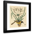 thumbnail image 1 of Mark Catesby 15x18 Black Modern Framed Museum Art Print Titled - The Yellow and Black Pye (Oriolus Icterus) (1731-1743), 1 of 5