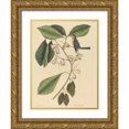 thumbnail image 1 of Mark Catesby 15x18 Gold Ornate Wood Frame and Double Matted Museum Art Print Titled - The Finch Creeper (Parus Americanus) (1731-1743), 1 of 4