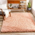 thumbnail image 1 of Mark&Day Area Rugs, 2x4 Abraham Modern Shag Peach Area Rug, Peach Carpet for Living Room, Bedroom or Kitchen (2'3" x 3'9"), 1 of 6