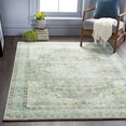 thumbnail image 1 of Mark&Day Area Rugs, 2x4 Heiereind Traditional Sage Area Rug, Green Grey Blue Carpet for Living Room, Bedroom or Kitchen (2'6" x 4'), 1 of 5
