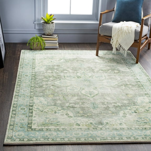 Mark&Day Area Rugs, 2x4 Heiereind Traditional Sage Area Rug, Green Grey Blue Carpet for Living Room, Bedroom or Kitchen (2'6" x 4')