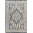 thumbnail image 1 of Mark&Day Area Rugs, 3x4 Schardam Traditional Charcoal Area Rug, Charcoal Carpet for Living Room, Bedroom or Kitchen (2'7" x 4'), 1 of 8