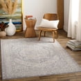 thumbnail image 1 of Mark&Day Area Rugs, 3x4 Varvara Traditional Light Gray Area Rug, Denim Dusty Sage Light Gray Carpet for Living Room, Bedroom or Kitchen (2'7" x 4'), 1 of 6