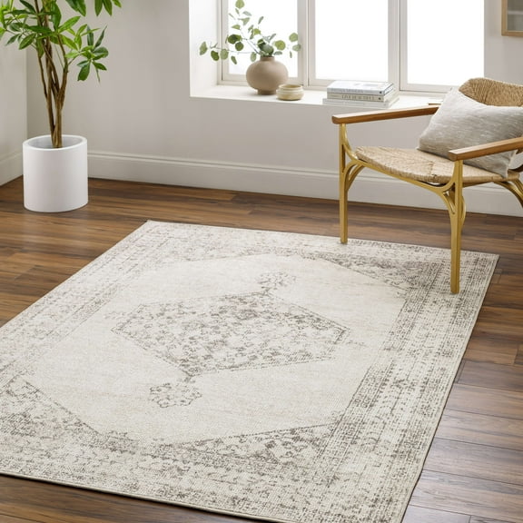Mark&Day Area Rugs, 5x7 Ameshia Traditional Light Silver Area Rug (5'3" x 7')