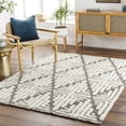 thumbnail image 1 of Mark&Day Area Rugs, 5x7 Hustonville Global Shag Dark Taupe Area Rug, Beige Beige Carpet for Living Room, Bedroom or Kitchen (5'3" x 7'), 1 of 1
