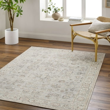 Mark&Day Area Rugs, 5x7 Latoyah Traditional Light Gray/Dark Brown Area Rug (5'3" x 7')