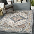 thumbnail image 1 of Mark&Day Area Rugs, 5x7 Var Traditional Gray Area Rug (5'2" x 7'), 1 of 14