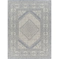 thumbnail image 1 of Mark&Day Outdoor Rugs, 5x7 Kimballton Global Indoor/Outdoor Ivory Area Rug, Non Shedding Ivory Blue Carpet for Patio, Porch, Deck, Bedroom, Living Room or Kitchen (5'3" x 7'), 1 of 4