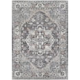 thumbnail image 1 of Mark&Day Outdoor Area Rugs, 9x12 Grazen Traditional Indoor/Outdoor Light Gray Area Rug (8'10" x 12'), 1 of 10