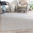 thumbnail image 1 of Mark&Day Outdoor Rugs, 5x7 Ruiten Global Indoor/Outdoor Ivory Area Rug, Non Shedding Grey White Carpet for Patio, Porch, Deck, Bedroom, Living Room or Kitchen (5'3" x 7'3"), 1 of 6