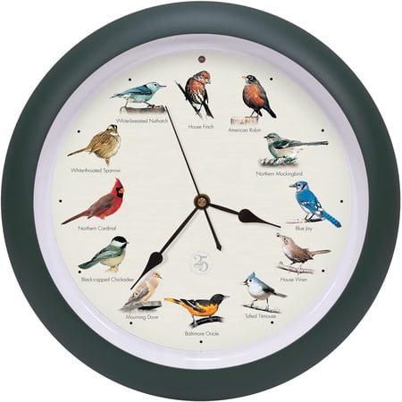 Mark Feldstein, The Original Singing Bird Clock, 25th Anniversary Edition, 13 Inch, Green