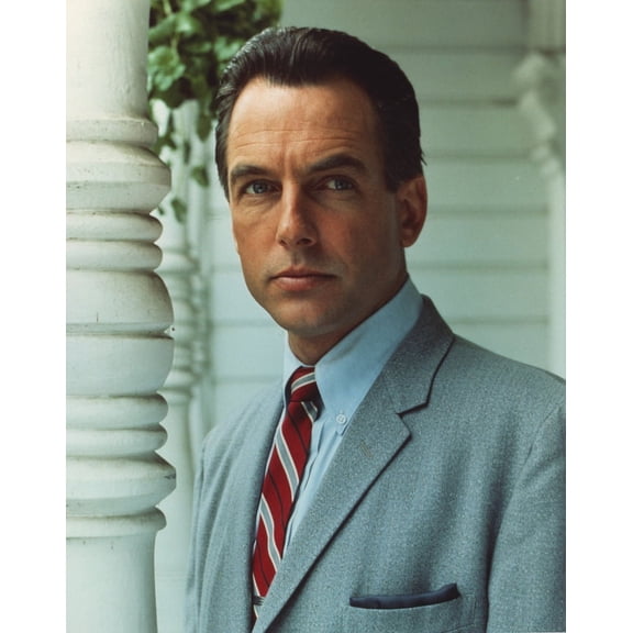 Mark Harmon Portrait in Grey Suit Photo Print (8 x 10)