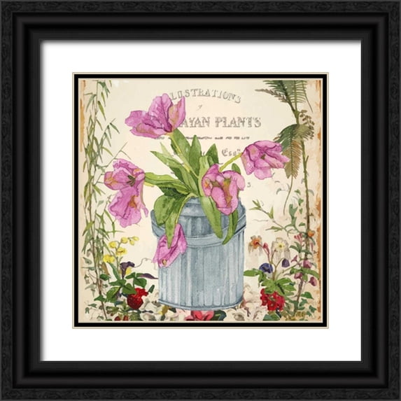 Mark, Leslie 20x20 Black Ornate Wood Framed with Double Matting Museum Art Print Titled - Vintage Tulip Can I