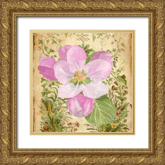 Mark, Leslie 20x20 Gold Ornate Wood Framed with Double Matting Museum Art Print Titled - Vintage Apple Blossom II