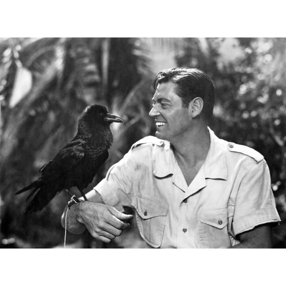 Mark Of The Gorilla Photo Print (10 x 8)