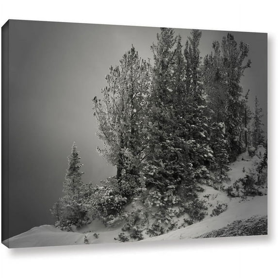 Mark Ross "10,000 Feet Of Silence" Wrapped Canvas Art