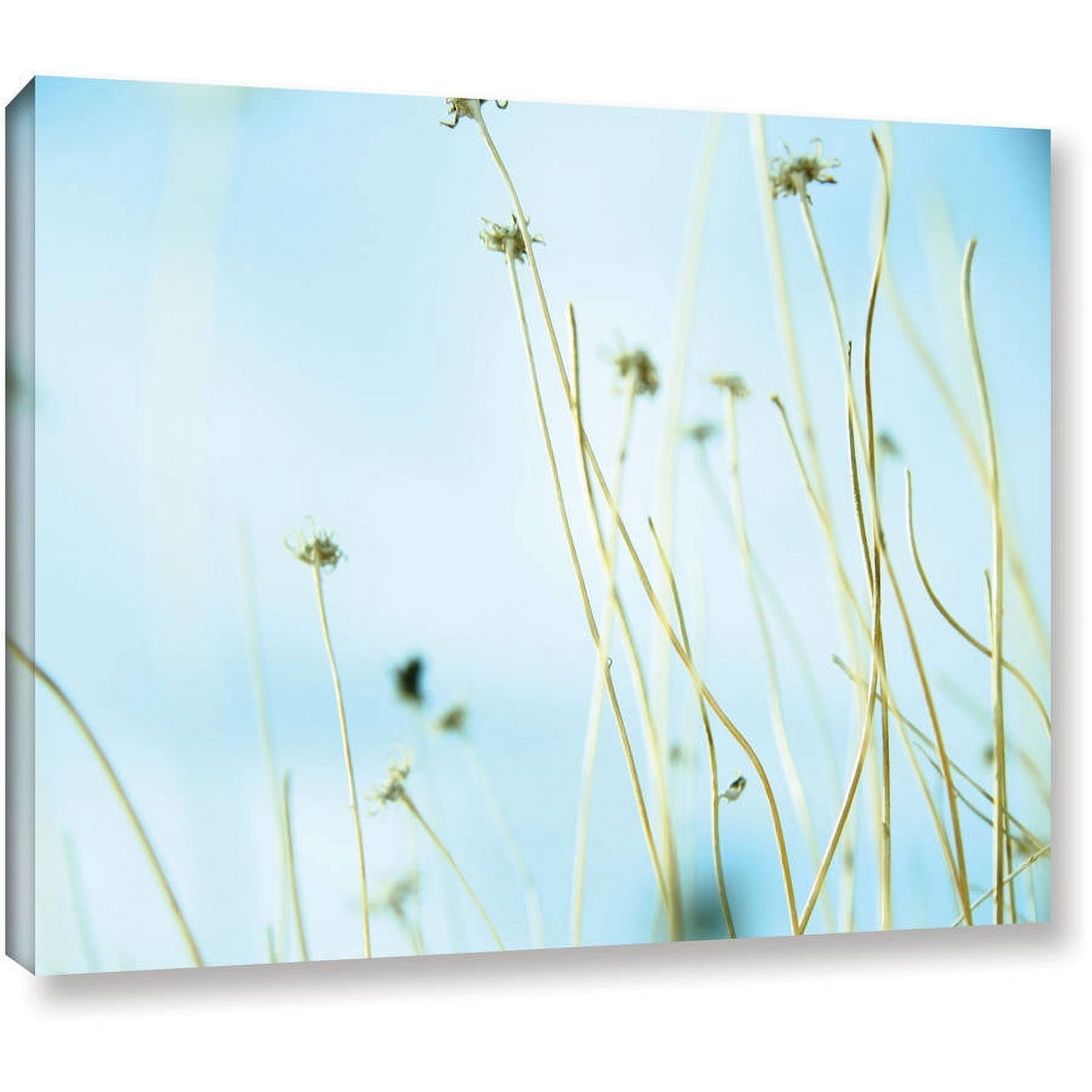 Mark Ross "30 Second Day Dream" Wrapped Canvas Art