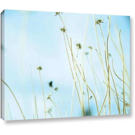 Mark Ross "30 Second Day Dream" Wrapped Canvas Art