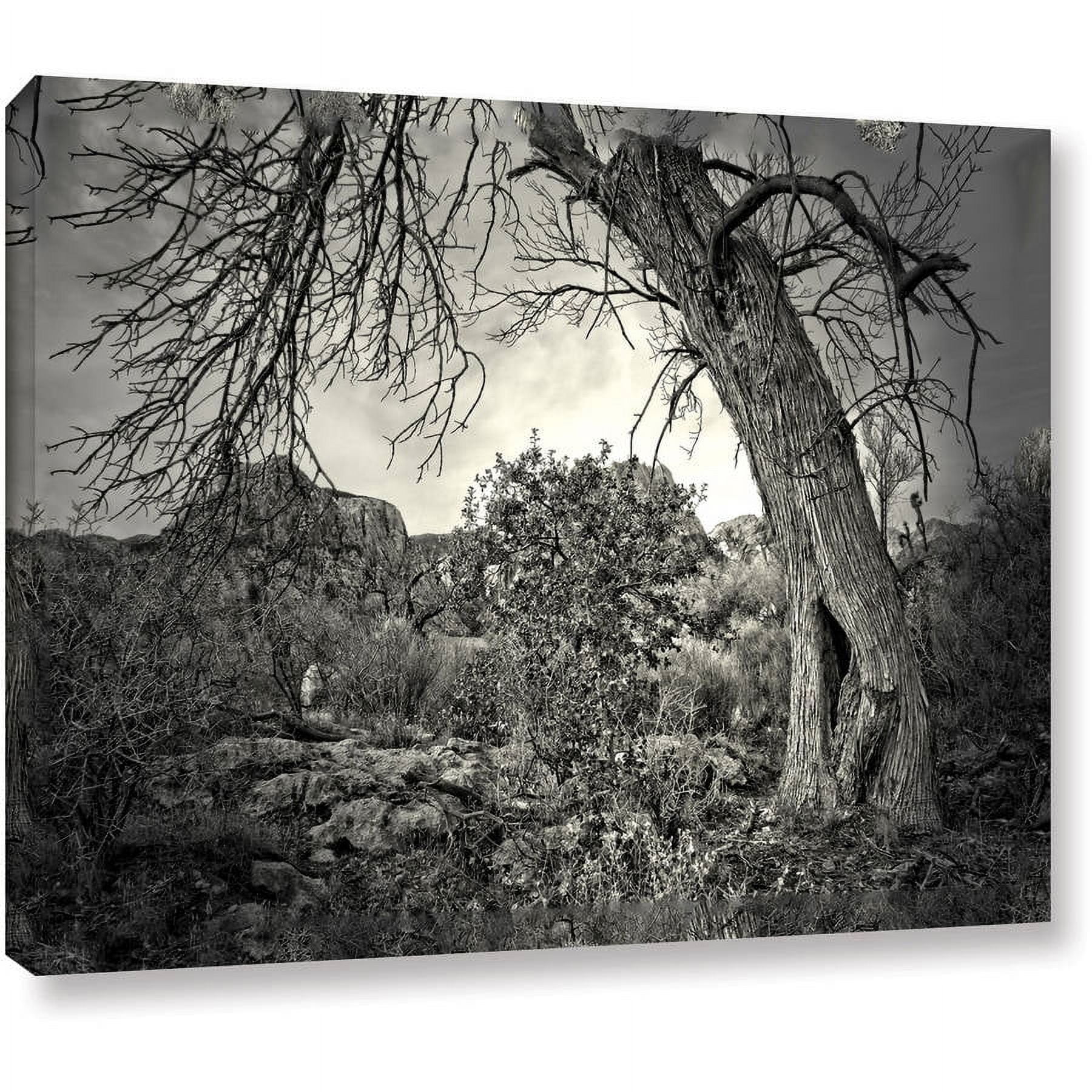 Mark Ross "Listen To Whispers" Wrapped Canvas Art