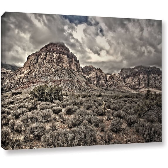 Mark Ross "No Distractions" Wrapped Canvas Art