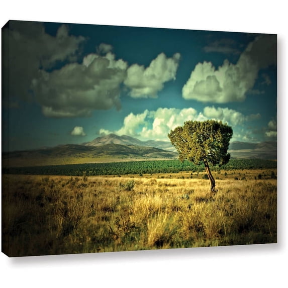 Mark Ross "Taking A Moment" Wrapped Canvas Art