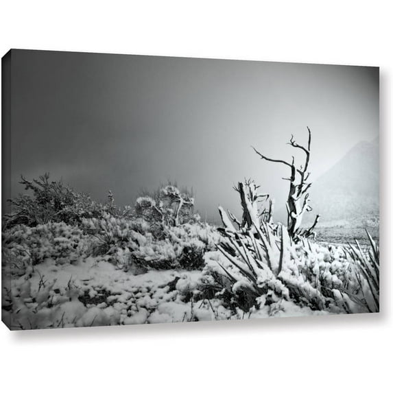 Mark Ross "You Just Do" Wrapped Canvas Art