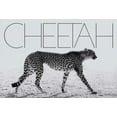 thumbnail image 1 of Mark Segal: Cheetah, (Hardcover), 1 of 1