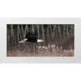 thumbnail image 1 of Mark Spowart Photography 18x11 White Modern Wood Framed Museum Art Print Titled - Feathered Hunter, 1 of 4