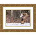thumbnail image 1 of Mark Spowart Photography 24x17 Gold Ornate Wood Framed with Double Matting Museum Art Print Titled - Take Flight, 1 of 4