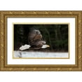 thumbnail image 1 of Mark Spowart Photography 32x21 Gold Ornate Wood Framed with Double Matting Museum Art Print Titled - Bald Eagle Soaring, 1 of 4