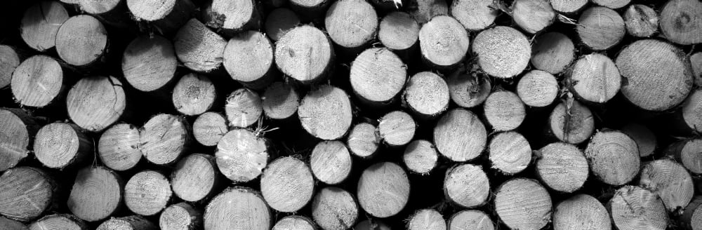 Marked Wood In A Timber Industry Black Forest Germany Canvas Art - Panoramic Images (12 x 36)