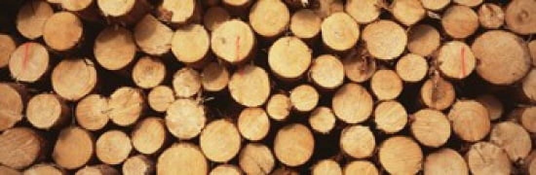 Marked Wood In A Timber Industry Black Forest Germany Canvas Art - Panoramic Images (18 x 6)