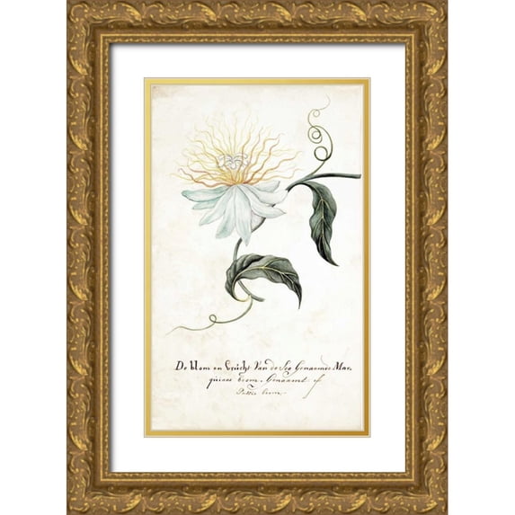 Markee, Cornelis 13x18 Gold Ornate Wood Framed with Double Matting Museum Art Print Titled - Passion Tree