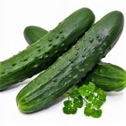 Marketer Cucumber Seeds - 200 Count Seed Pack - A Great Cucumber for Pickling and Salads, Having a mild Flavor with a hint of Sweetness - Country Creek LLC