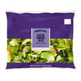 thumbnail image 1 of Marketside Premium Romaine Salad Blend, 18 oz Bag, Fresh, 1 of 6
