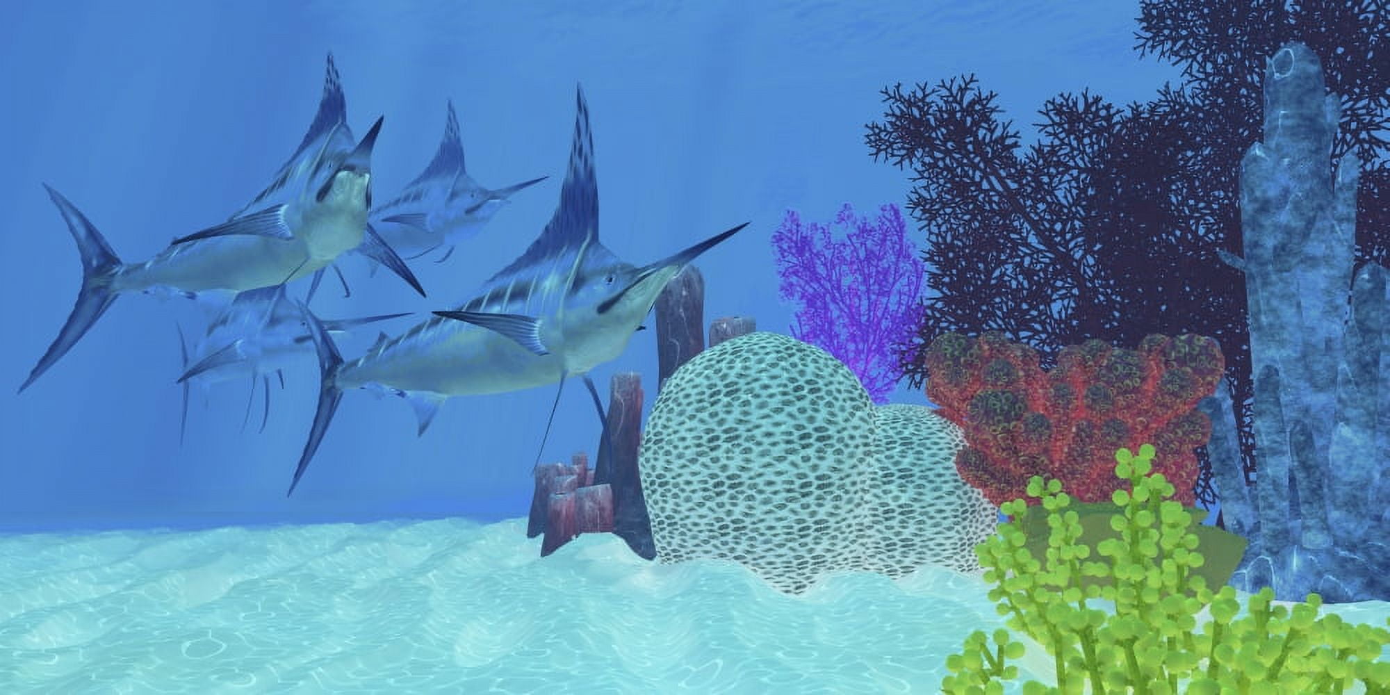 Marlin predatory fish look for prey around an ocean coral reef Canvas Art - Corey FordStocktrek Images (20 x 10)