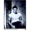 thumbnail image 1 of Marlon Brando - 1950, Photo by John Engstead Photo Print (8 x 10), 1 of 1