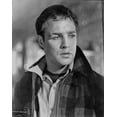 thumbnail image 1 of Marlon Brando in On The Waterfront Photo Print (24 x 30), 1 of 1