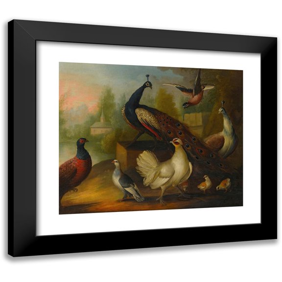 Marmaduke Cradock 14x12 Black Modern Framed Museum Art Print Titled - Peacocks, Chickens and Other Birds in a River Landscape