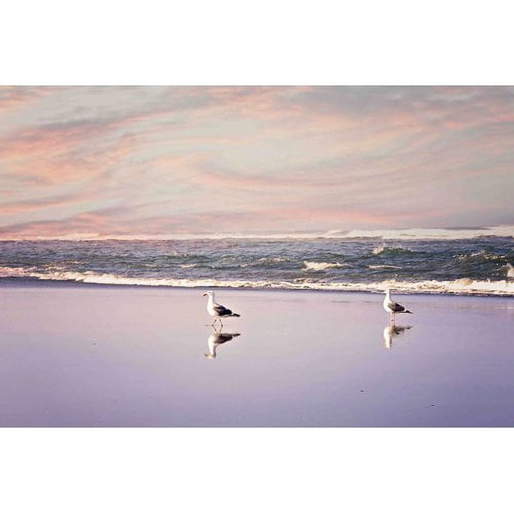 Marmont Hill "2 Seagulls" by Sylvia Cook Painting Print on Canvas