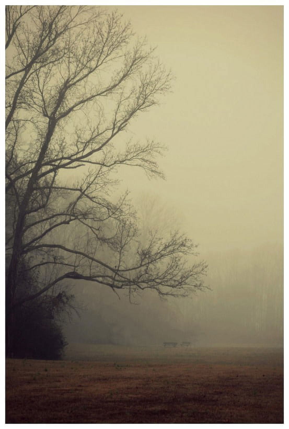 Marmont Hill "A Gathering of Fog" by Robert Dickinson Painting Print on Canvas