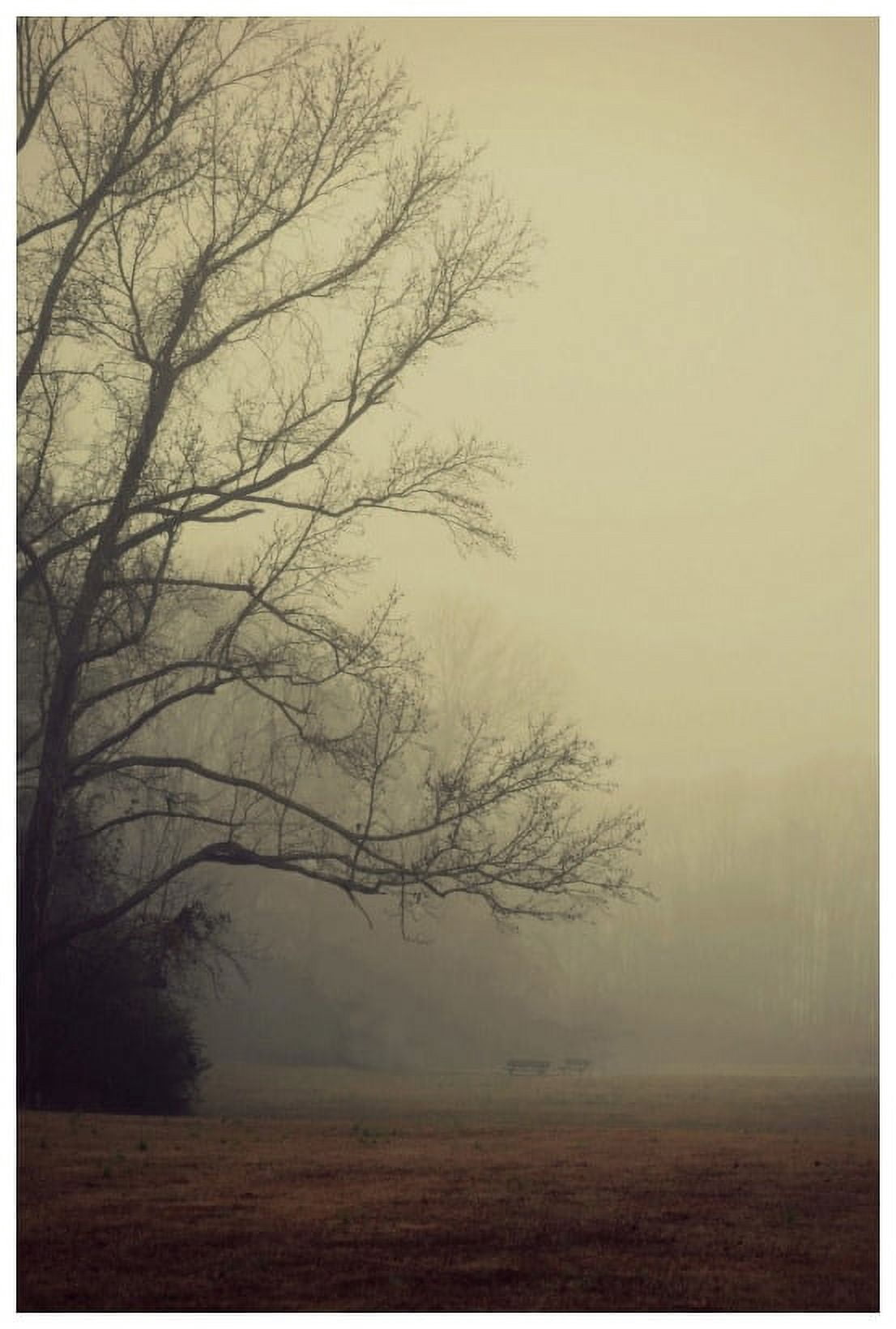 Marmont Hill "A Gathering of Fog" by Robert Dickinson Painting Print on Canvas