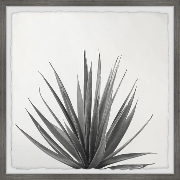 Marmont Hill Agave Crown Framed Painting Print