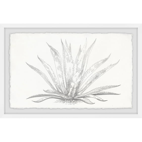 Marmont Hill Agave Desmettiana II Framed Wall Art