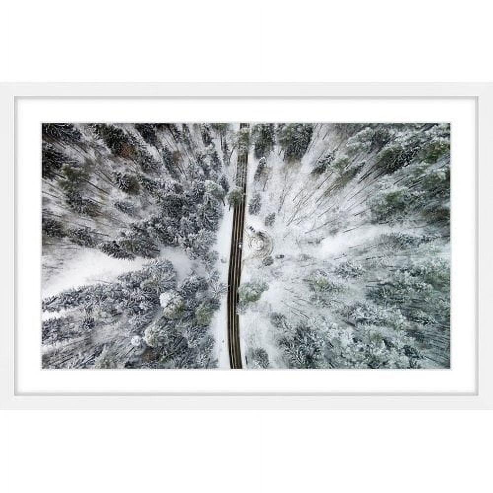 Marmont Hill "Amid the Cold" by Karolis Janulis Framed Painting Print