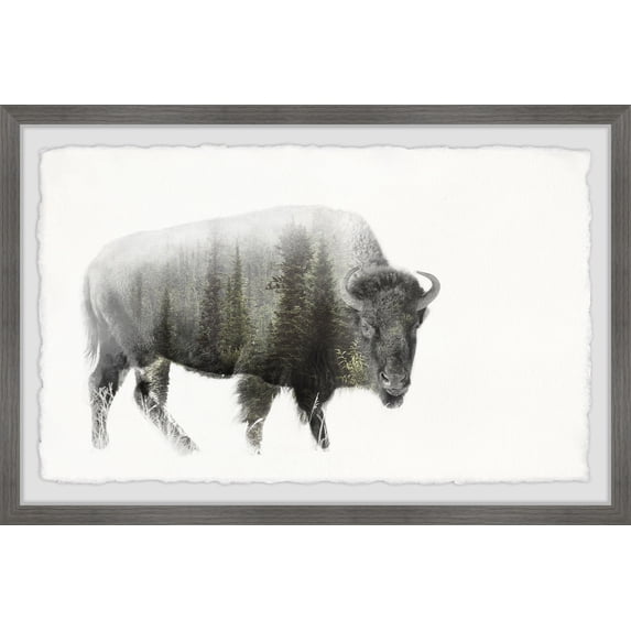 Marmont Hill Angry Bison Framed Wall Art, 16" x 24"