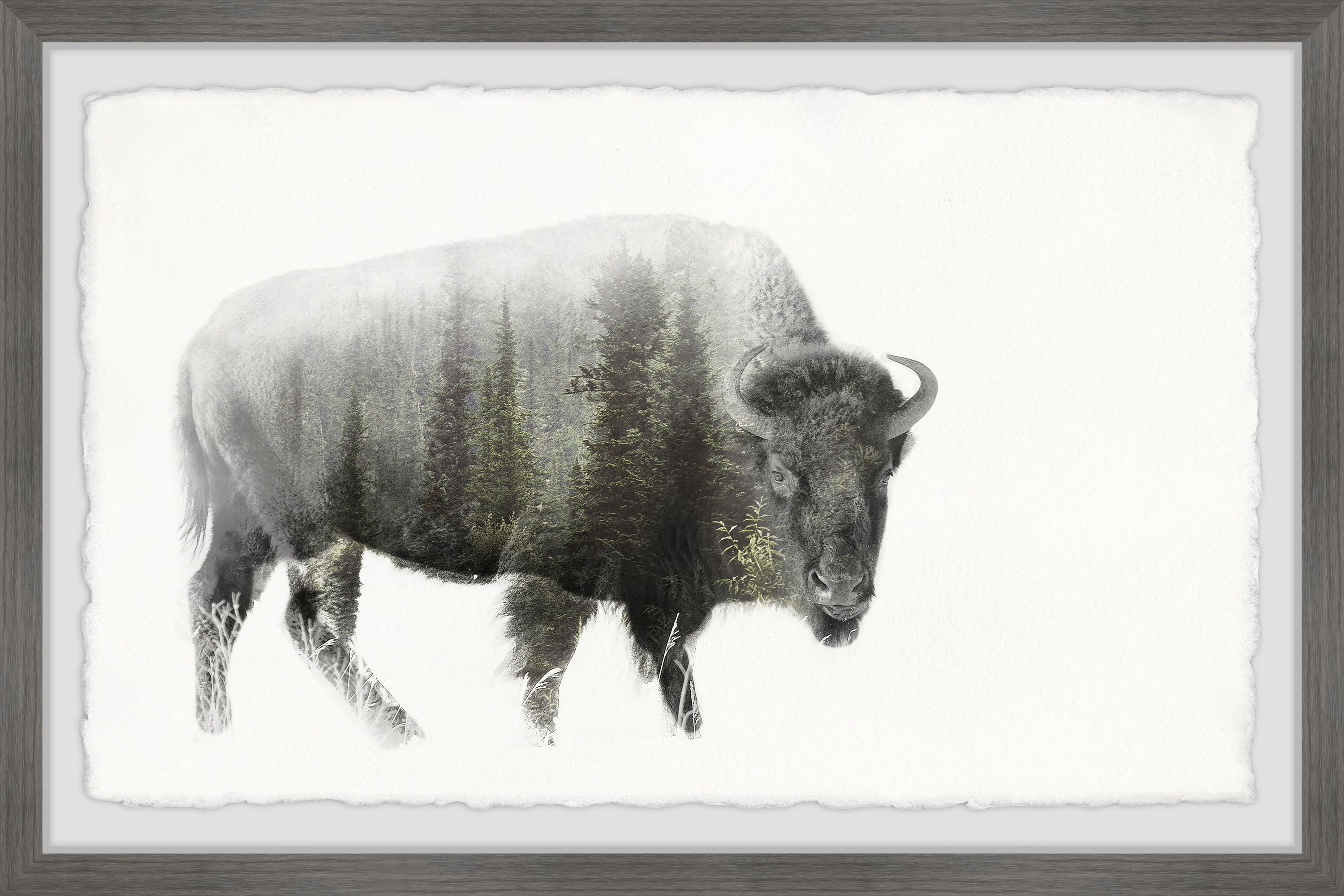 Marmont Hill Angry Bison Framed Wall Art, 20" x 30"