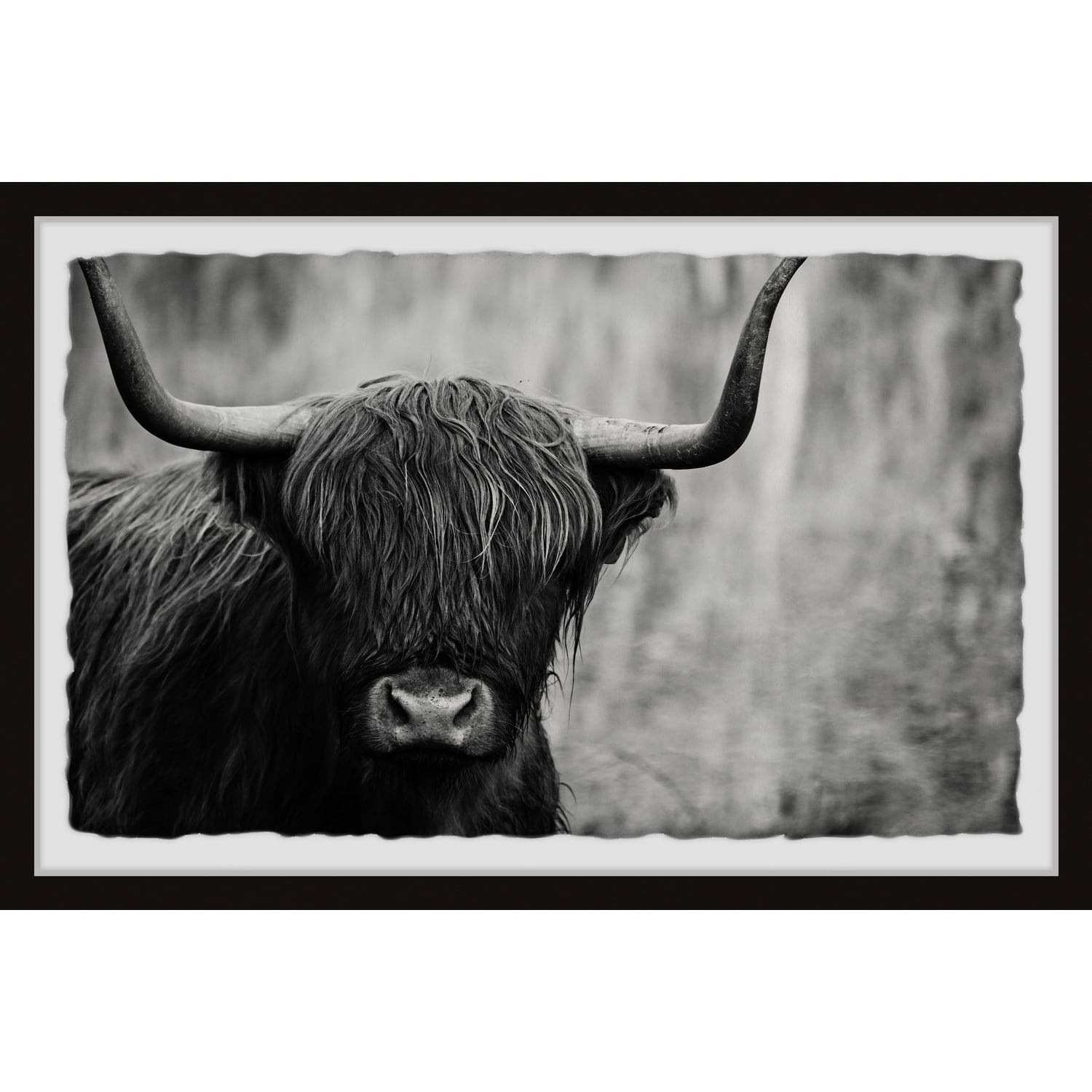 Black and White Highland Cow Framed Photographic Print, 12" x 8"