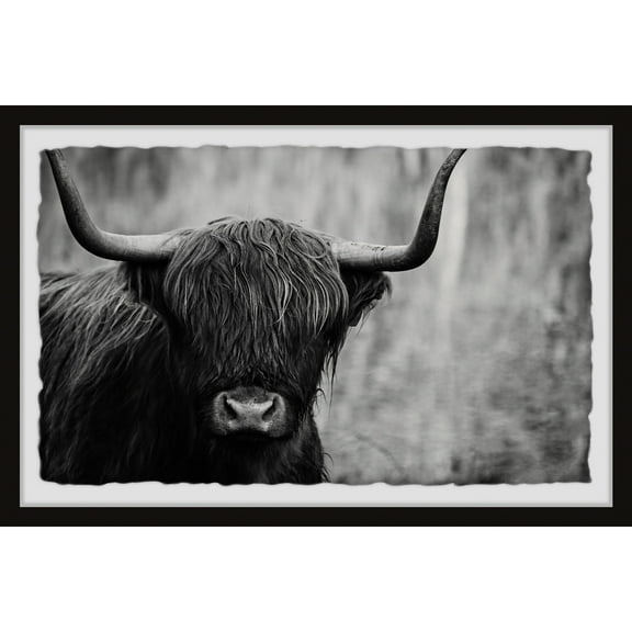 Marmont Hill Angus the Highland Cow Framed Painting Print