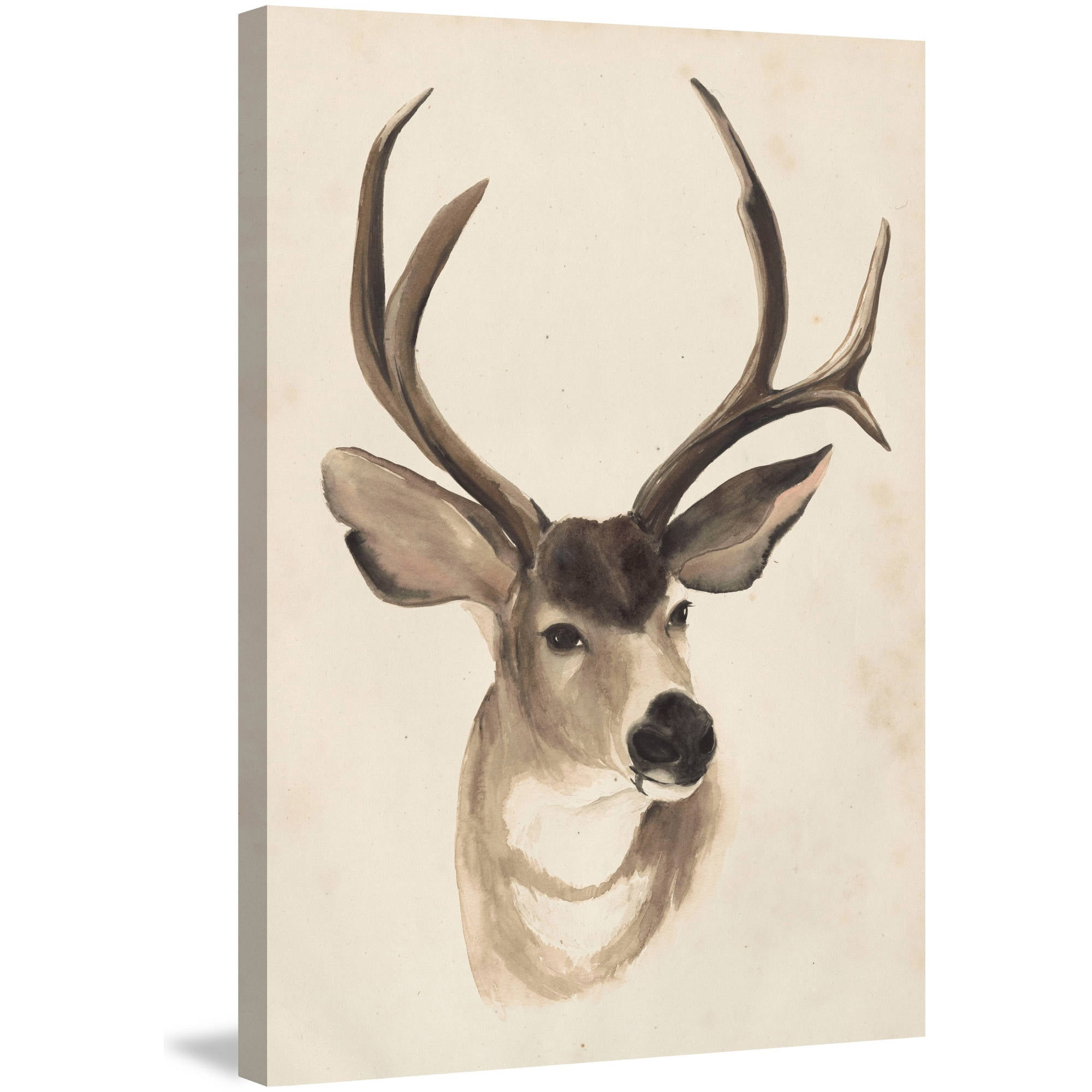 Marmont Hill "Animal Study II" Painting Print on Wrapped Canvas